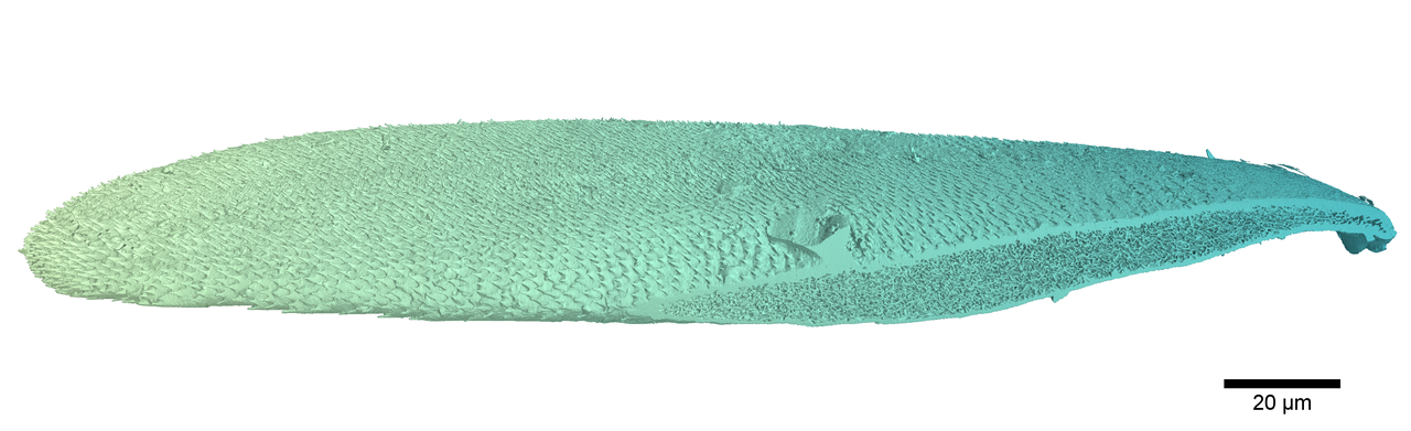 Big data on a small scale