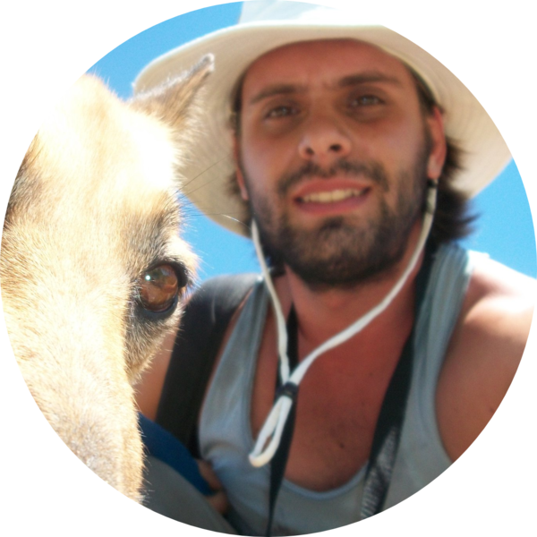 Go to the profile of Alan David Kaminski