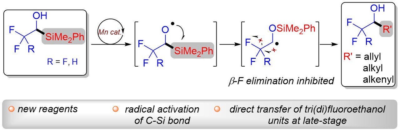 New Reagents for Organofluorine Compounds Synthesis