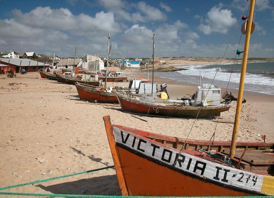 Exporting the fisheries crisis?