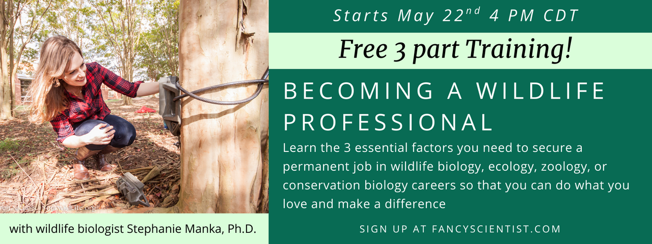 Becoming a Wildlife Professional Free Trainings