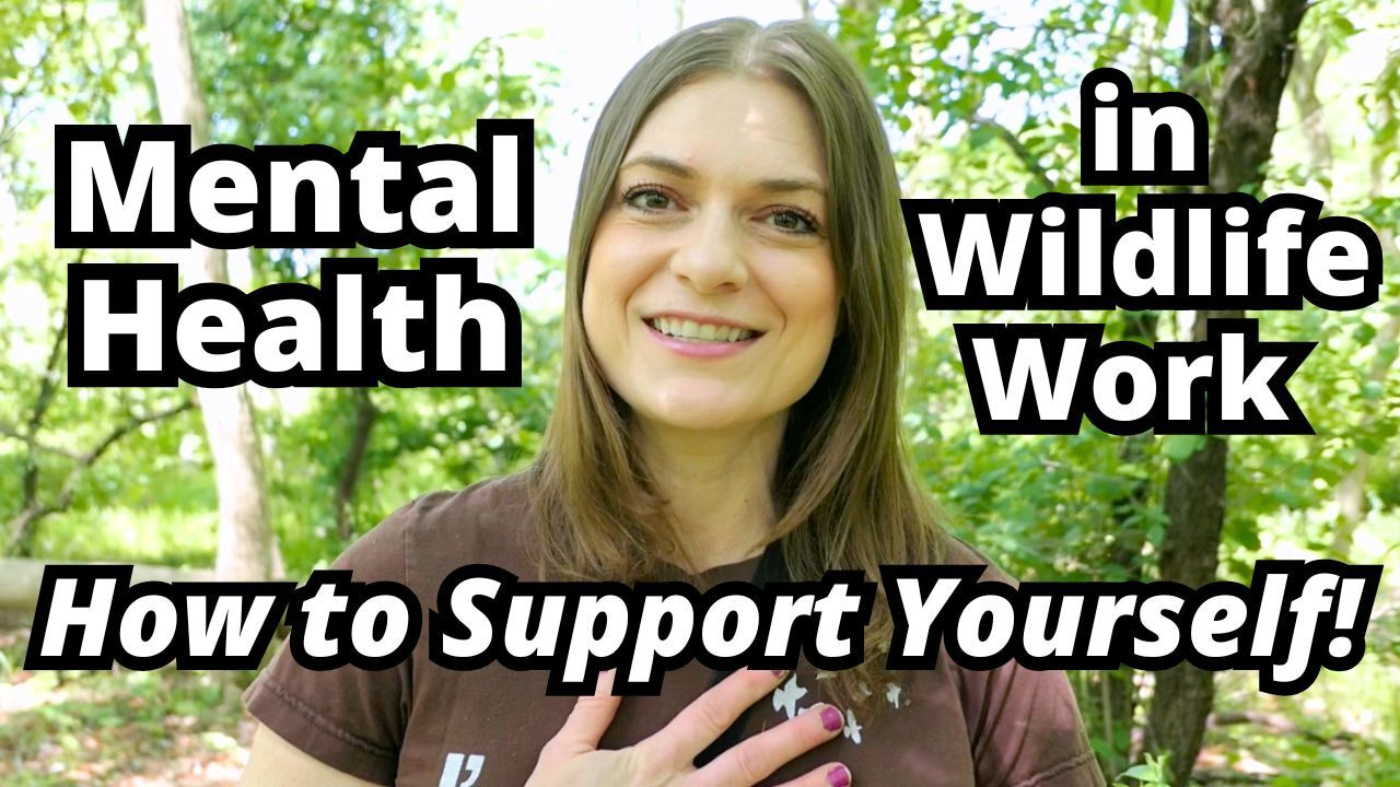 Maximizing Mental Health in Wildlife Work: How I Went Off Anti-Depressants