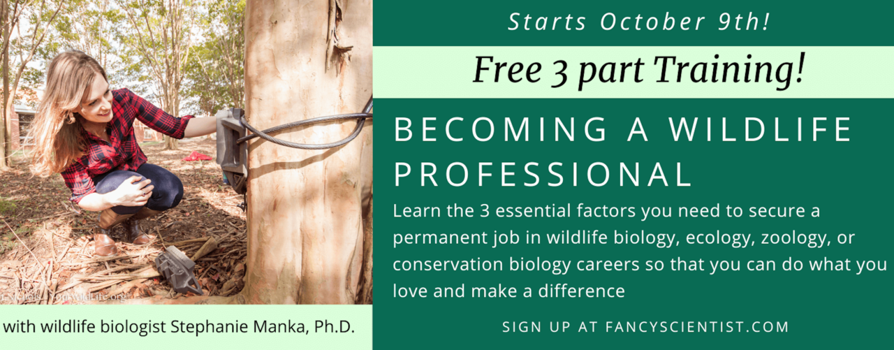 Laying the Foundations of a PAID Wildlife Career: Becoming a Wildlife Professional Training 1