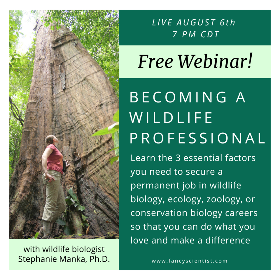 Becoming a Wildlife Professional Free Webinar