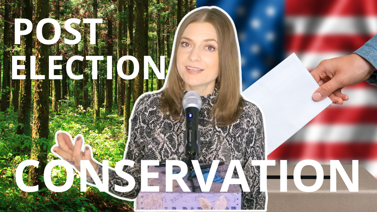 Conversations and Connections: Tips for Navigating Conservation Post Election