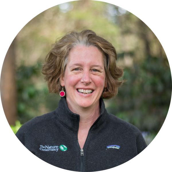 Go to the profile of Anne Trainor