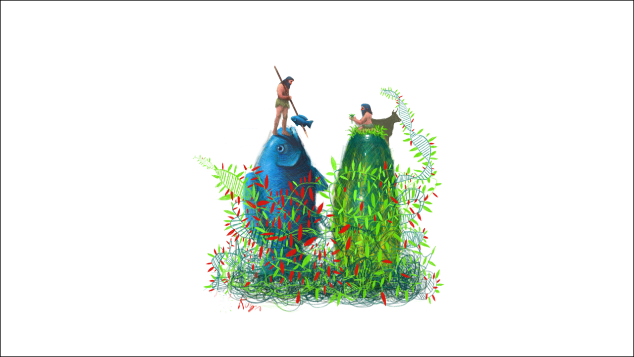 Opposite genetic adaptation to the diets of European hunter-gatherers and farmers 