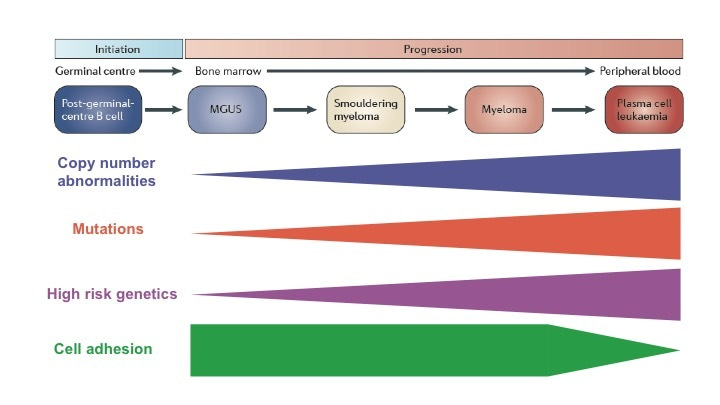 Genomic Analysis of Primary Plasma Cell Leukemia