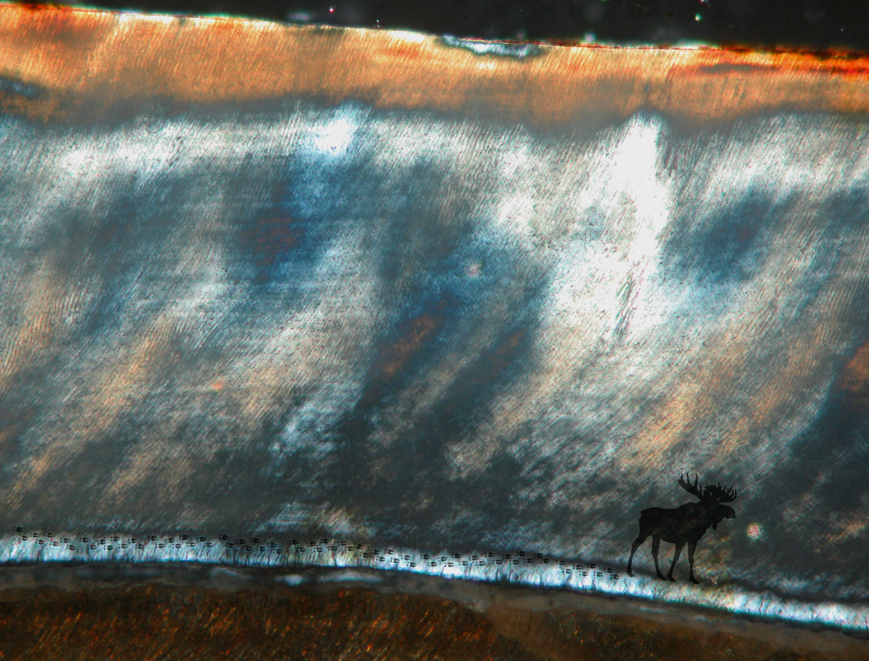 Tracing human mobility using Sr isotopic record in ornaments