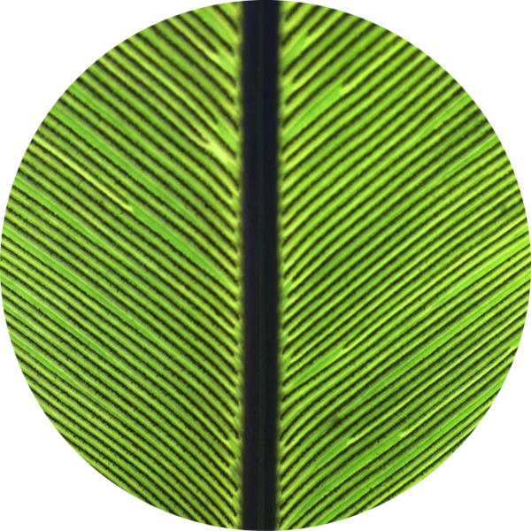 Go to the profile of Santiago Ramirez Barahona