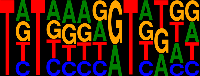 Gene Editing in Hematopoietic Stem Cells: One Step Forward
