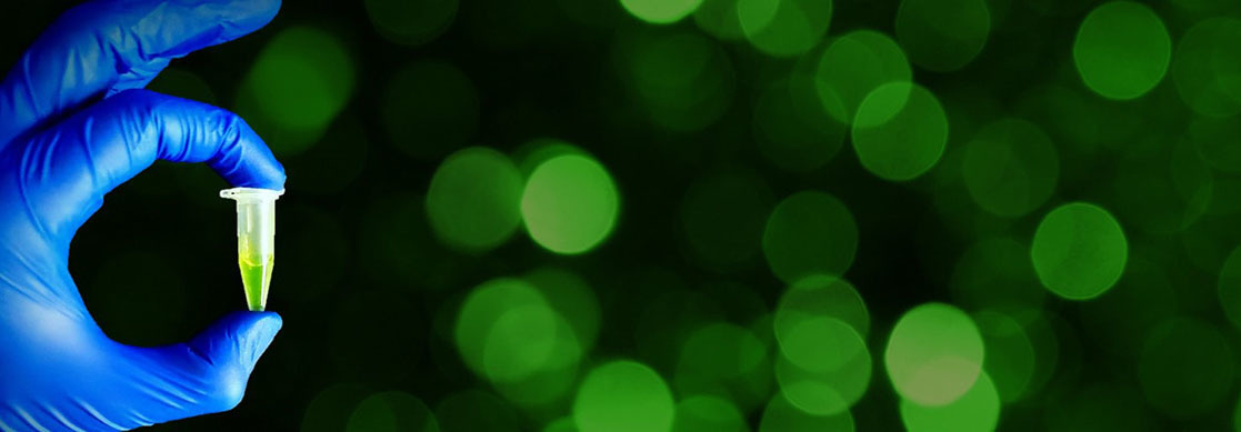 Holistic engineering of cell-free systems for the synthesis of supramolecular protein assemblies