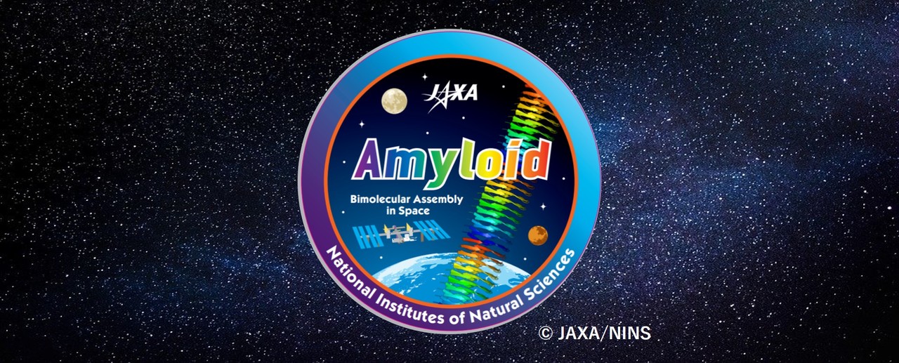 Amyloid Formation in the International Space Station