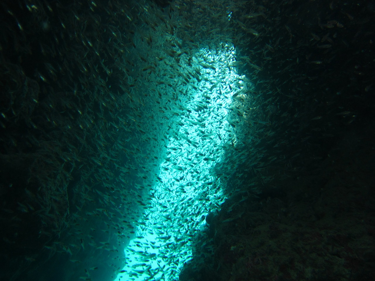 Winter warming has larger and more widespread effects on fish communities