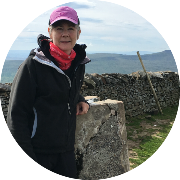 Go to the profile of Alison Elvidge