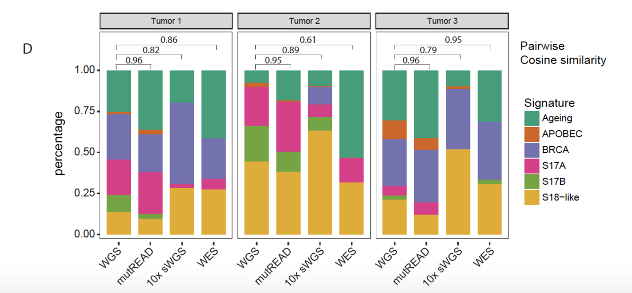 mutREAD: An affordable method to capture the archaeology of DNA damaging events in cancer genomes