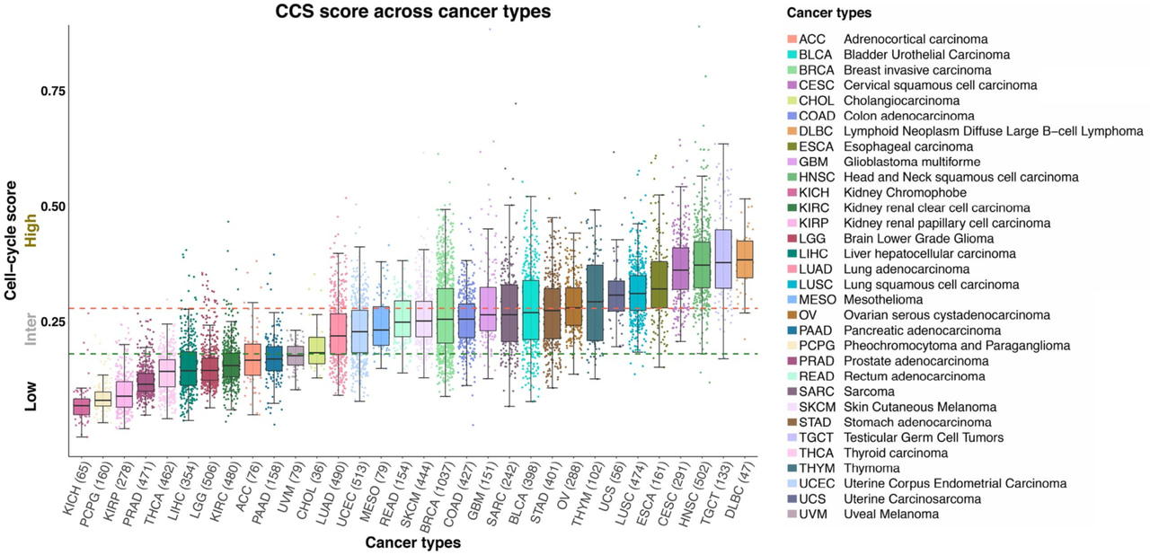 Pan-cancer analysis of genomic aberrations in relation to cell cycle activity levels
