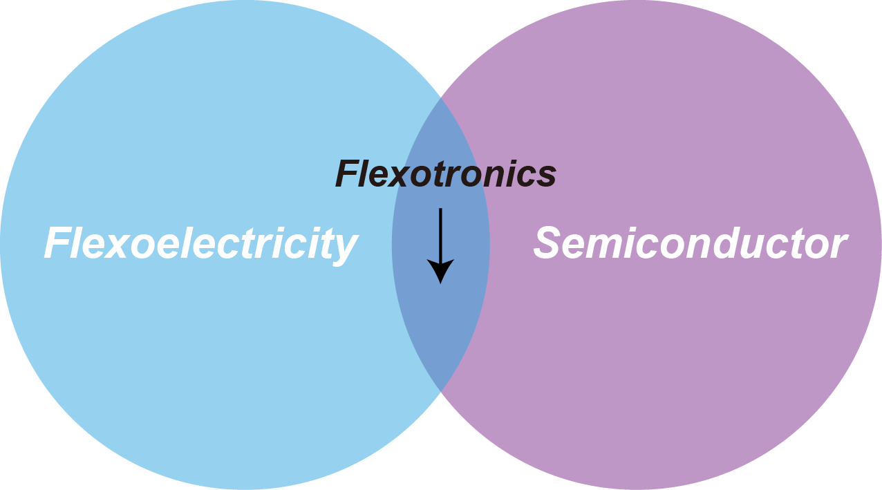 Flexotronics