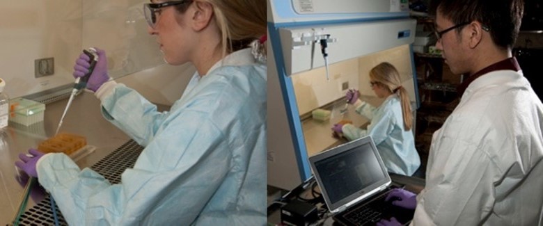 Microphysiological Systems: Linked organ chips predict drug pharmacokinetics