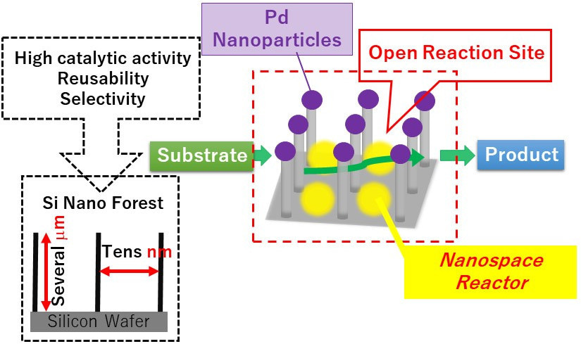 Highly Robust and Reusable Catalyst for Hydrogenation