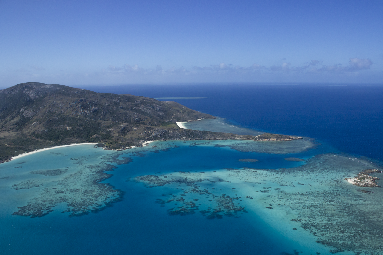 Using larval barcoding to estimate stomatopod species richness for conservation monitoring