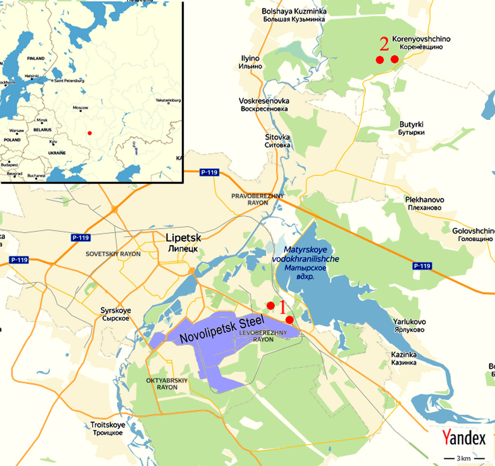 Iron and manganese migration in “soil–plant” system in Scots pine stands in conditions of contamination by the steel plant’s emissions