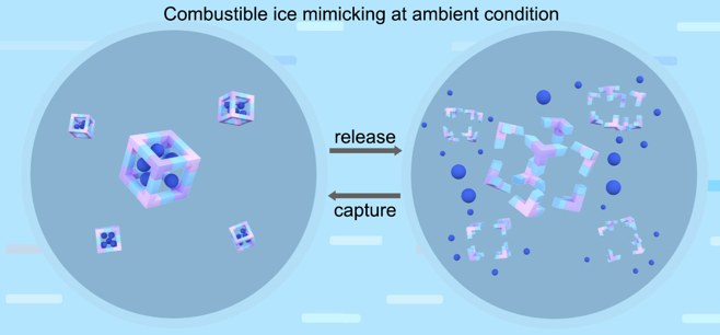 Hydrogen-bonded Framework Mimics Combustible Ice Behavior at Ambient Condition