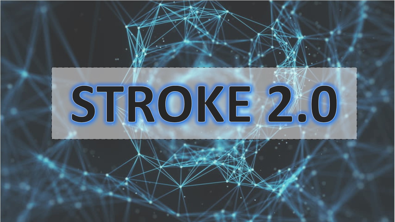 Stroke 2.0: Tracking digital footprints of population’s health information-seeking behaviors