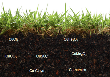 How do certain soil dwelling archaea obtain copper? 