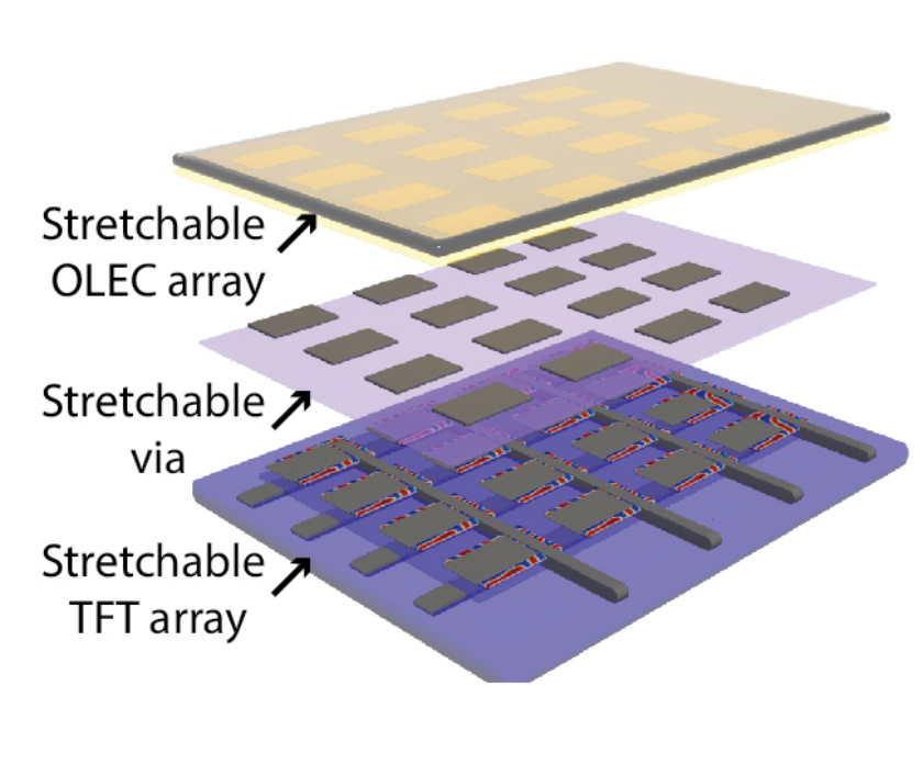 Fully stretchable active-matrix organic light-emitting electrochemical cell array