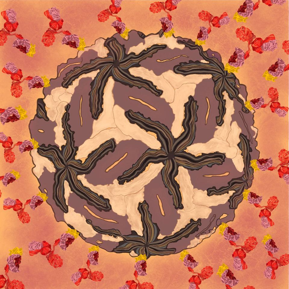 Preparing for the pandemic that came.