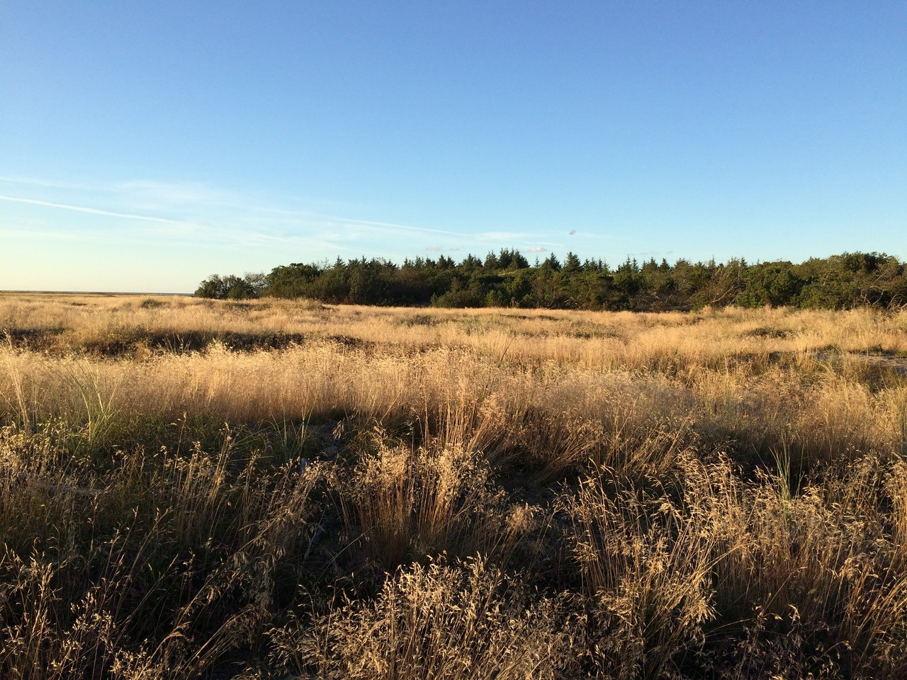 The beauty of the Scandinavian landscape