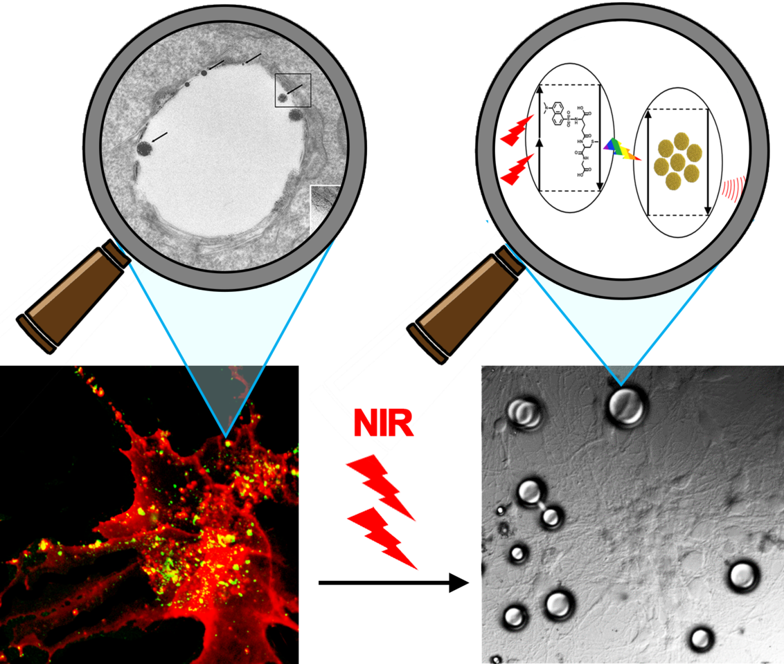 NIR Photoablation of Cancer Cells