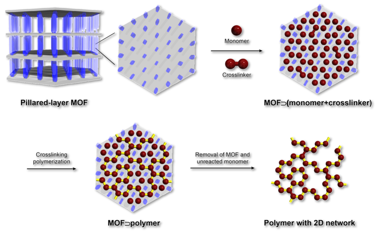 The thinnest vinyl polymer sheets