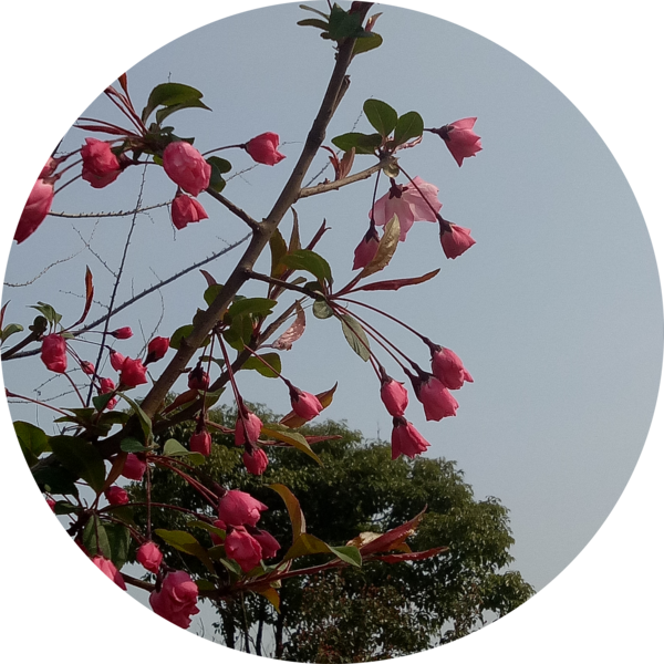 Go to the profile of Zhigang Hu