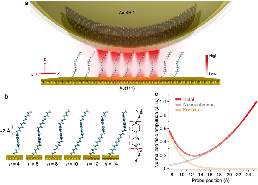 Observation of inhomogeneous plasmonic field distribution in a nanocavity