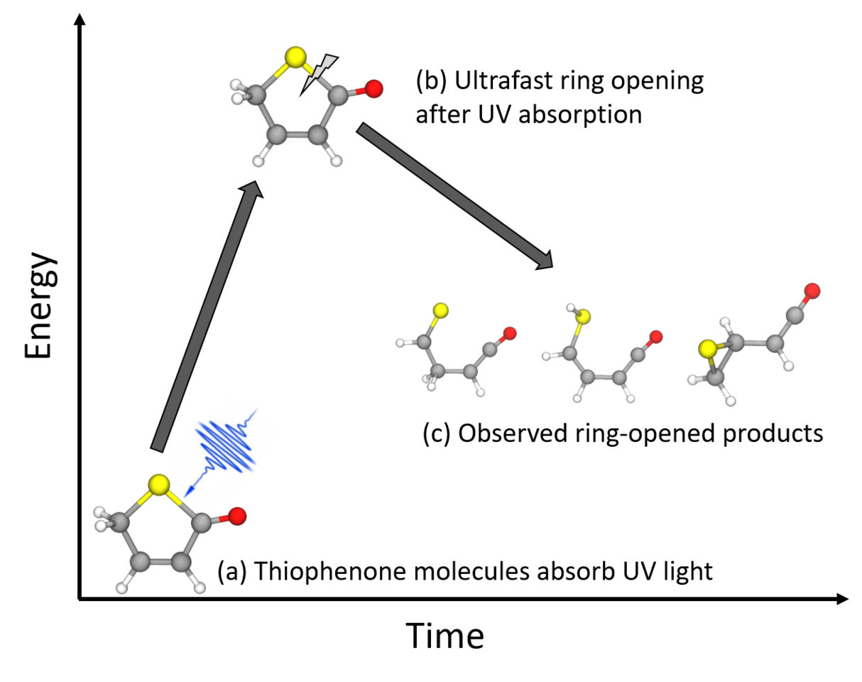Ultrafast ring opening of thiophenone tracked by time-resolved XUV photoelectron spectroscopy