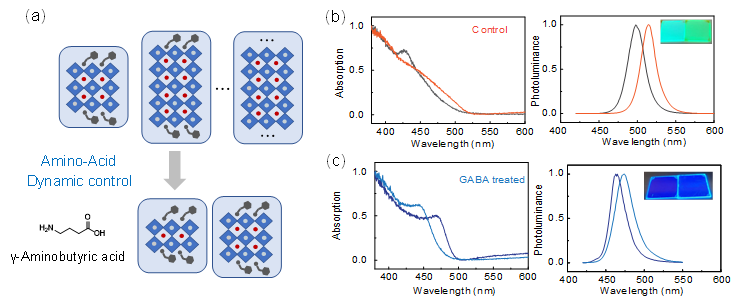 Chelating-agent-assisted control of CsPbBr3 quantum well growth enables stable blue perovskite emitters