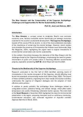 The Blue Amazon and the Conservation of the Cagarras Archipelago _ Challenges and Opportunities for Marine Sustainability in Brazil