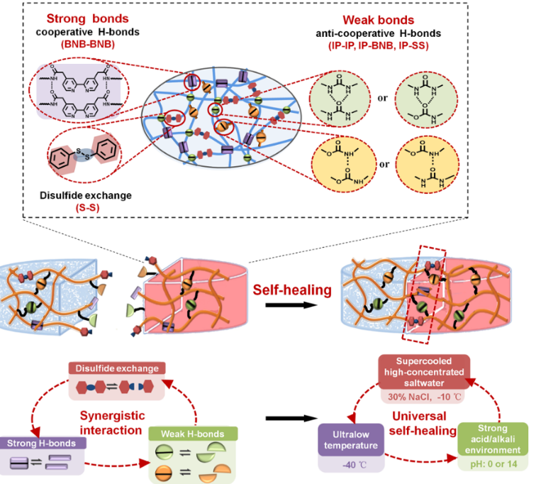 Universally Autonomous self-healing materials