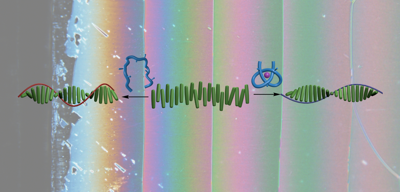 Knotting to see here