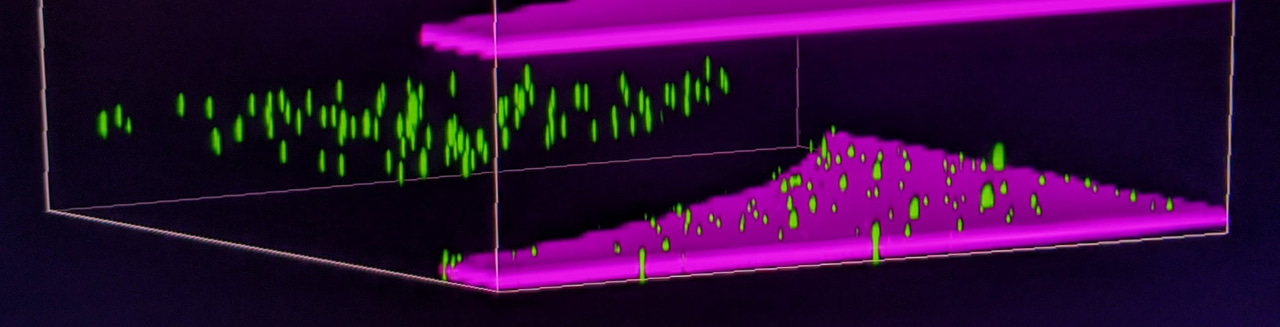 Avoiding and correcting sample-induced spherical aberration artifacts in 3D fluorescence microscopy