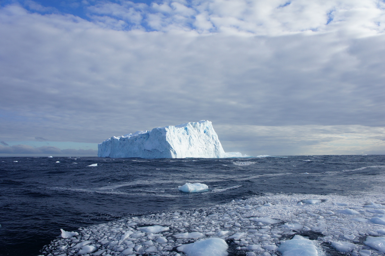 Incorporating viruses into the concept of biogeochemical cycles