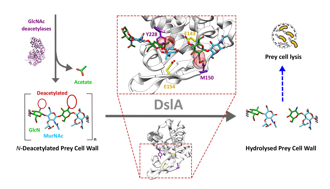 New ways to break down walls