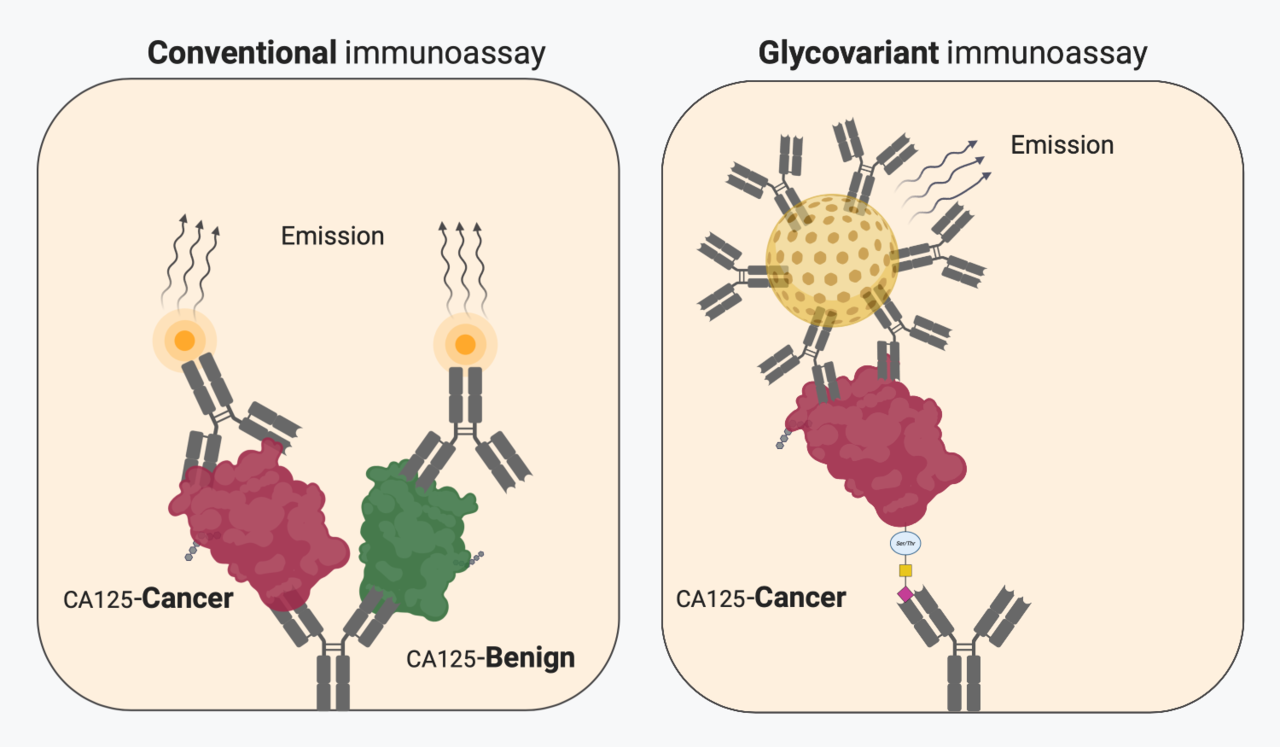 Glycovariant-based cancer diagnostics at the point of care?