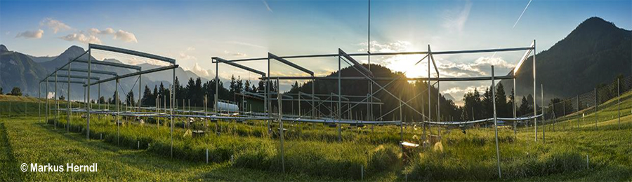 Nitrifier communities are resistant to warming and elevated carbon dioxide, but sensitive to drought