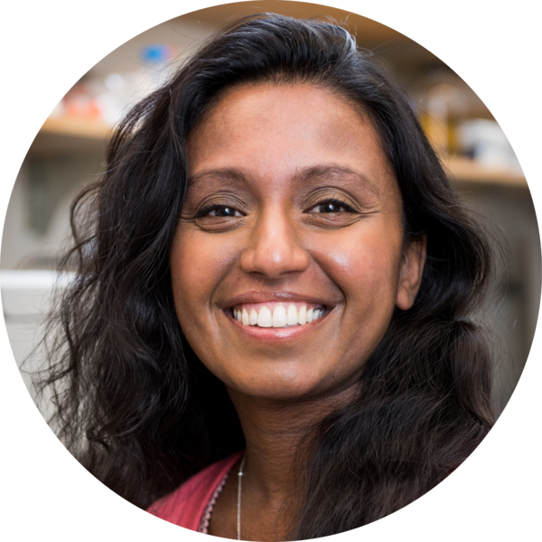 Go to the profile of Fathima Zumla Cader