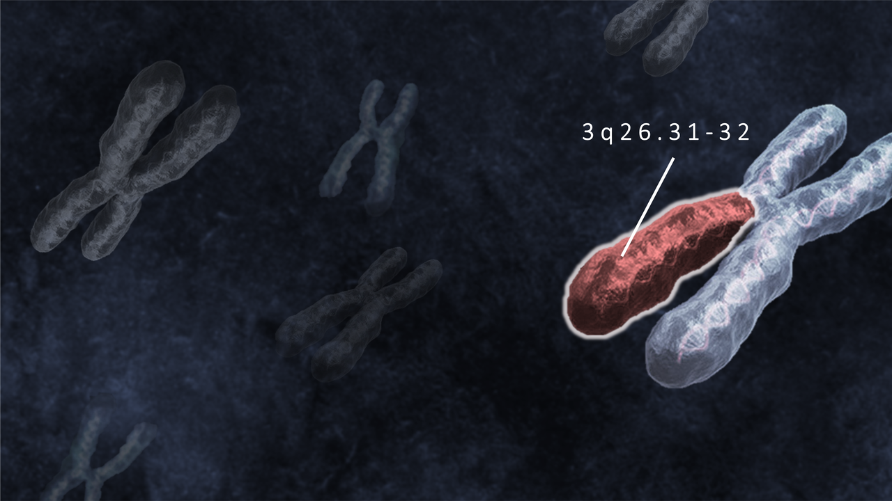 Behind the paper: Genetic alterations in the 3q26.31-32 locus confer an aggressive prostate cancer phenotype