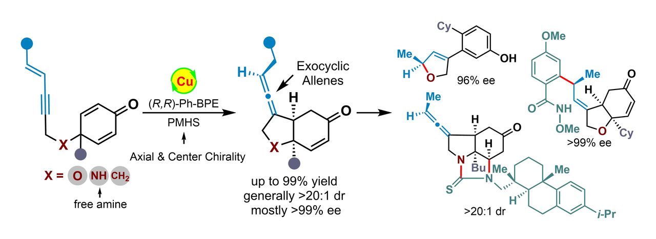 Copper(I)-catalyzed diastereo- and enantio-selective construction of optically pure exocyclic allenes