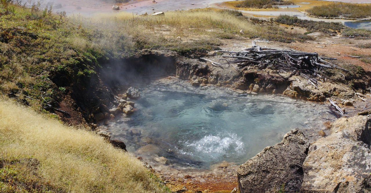 What are the 99% up to? Accessing the physiology of uncultured hot spring microbes